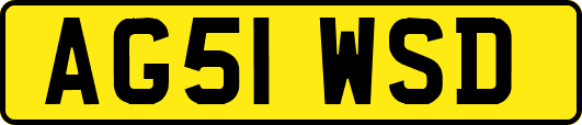 AG51WSD