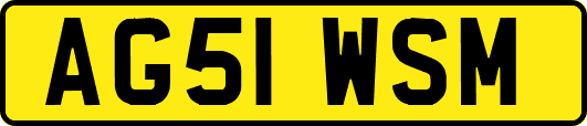 AG51WSM