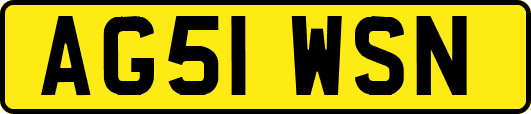 AG51WSN