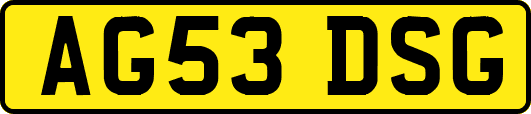 AG53DSG