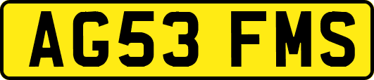 AG53FMS