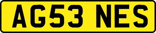 AG53NES