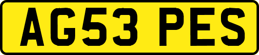 AG53PES