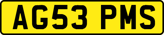AG53PMS