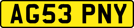 AG53PNY