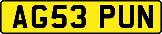 AG53PUN