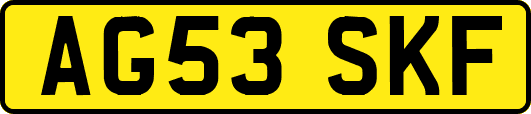 AG53SKF