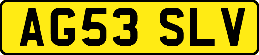 AG53SLV