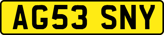 AG53SNY