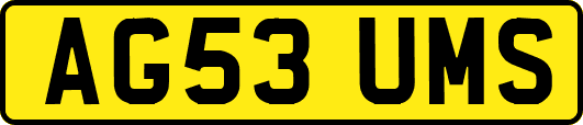AG53UMS