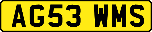 AG53WMS