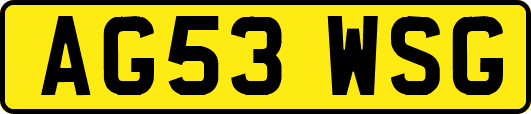 AG53WSG