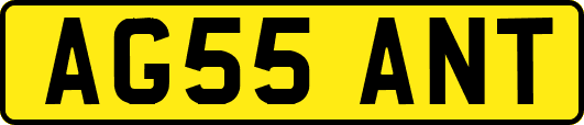 AG55ANT