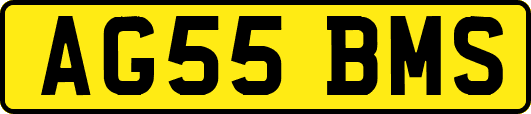 AG55BMS
