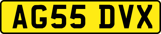 AG55DVX