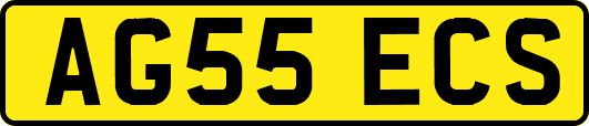 AG55ECS