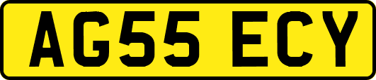 AG55ECY