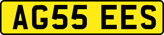 AG55EES