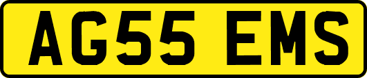 AG55EMS