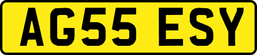AG55ESY