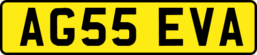 AG55EVA