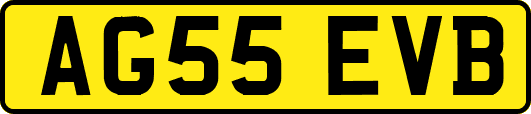 AG55EVB