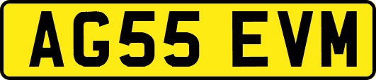 AG55EVM