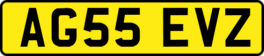 AG55EVZ
