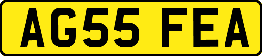 AG55FEA