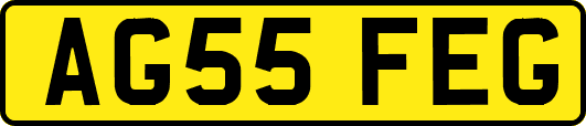 AG55FEG