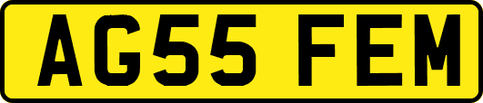 AG55FEM