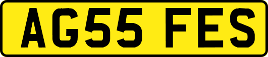 AG55FES