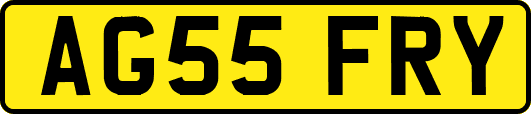 AG55FRY
