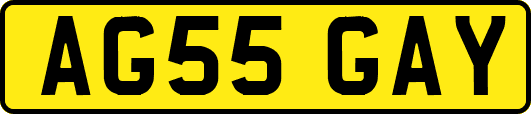 AG55GAY