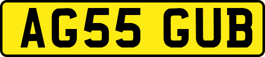 AG55GUB