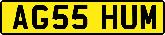 AG55HUM