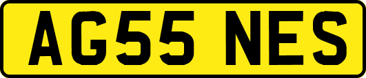 AG55NES