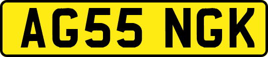 AG55NGK