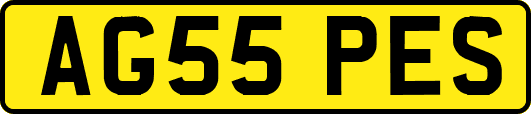 AG55PES