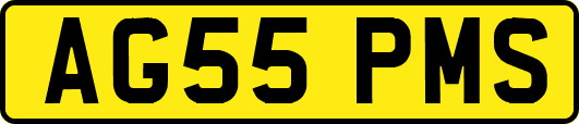 AG55PMS