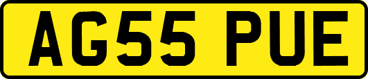 AG55PUE