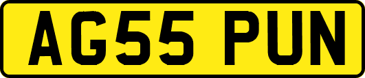 AG55PUN