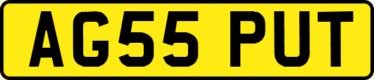 AG55PUT