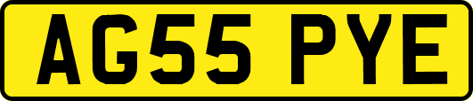 AG55PYE