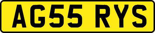 AG55RYS