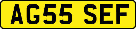 AG55SEF