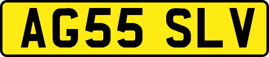 AG55SLV