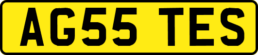 AG55TES