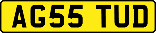 AG55TUD