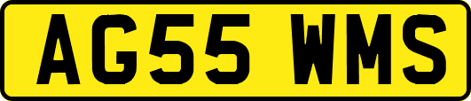 AG55WMS
